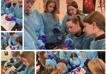 Lekcja anatomii w naszym liceum – serce w centrum uwagi
